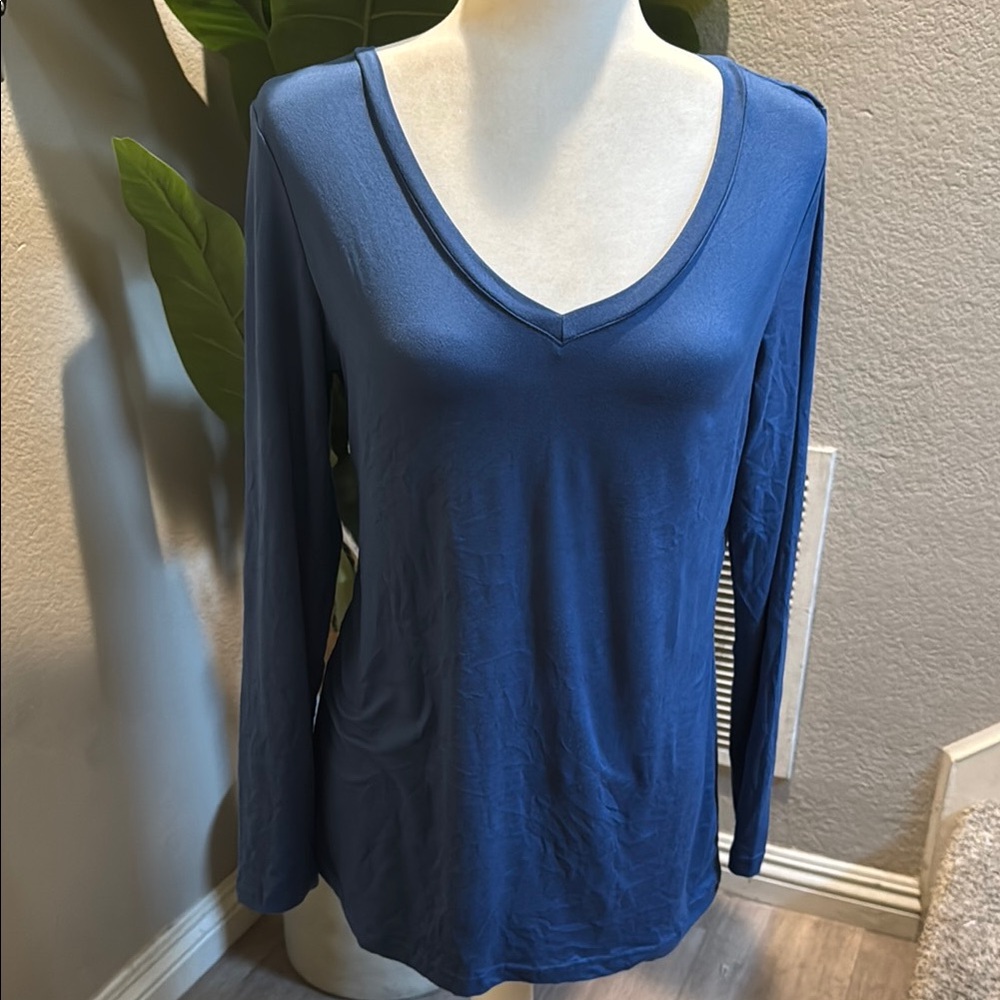 Zeagoo Blue V-Neck Women's Top